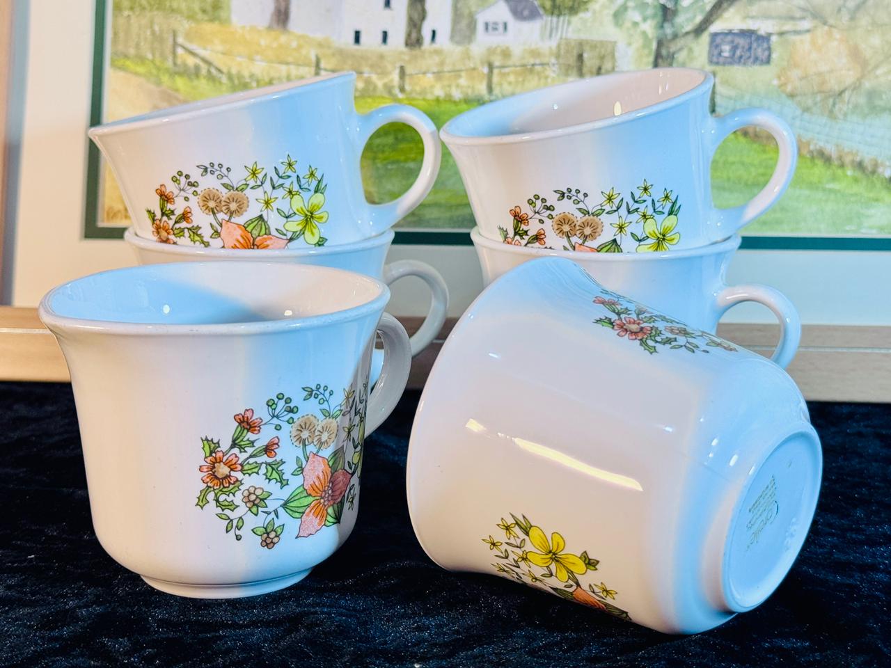 Vintage Teacup Set - 6 Pieces with Hand-Painted Wildflower Design | Fine Porcelain