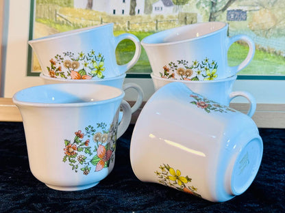 Vintage Teacup Set - 6 Pieces with Hand-Painted Wildflower Design | Fine Porcelain