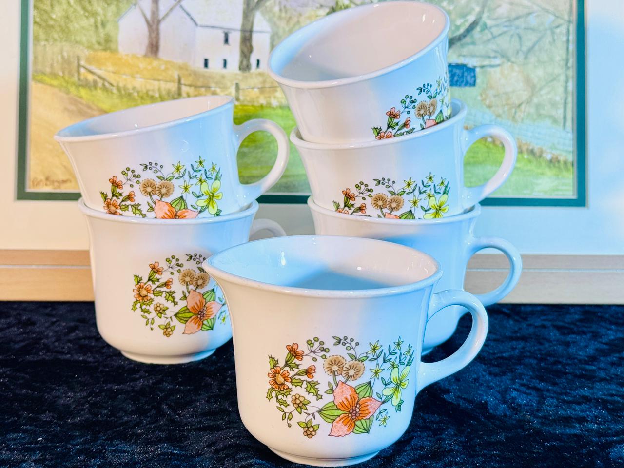 Vintage Teacup Set - 6 Pieces with Hand-Painted Wildflower Design | Fine Porcelain