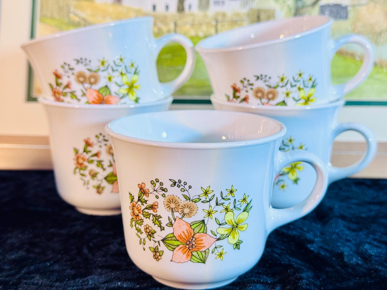 Vintage Teacup Set - 6 Pieces with Hand-Painted Wildflower Design | Fine Porcelain