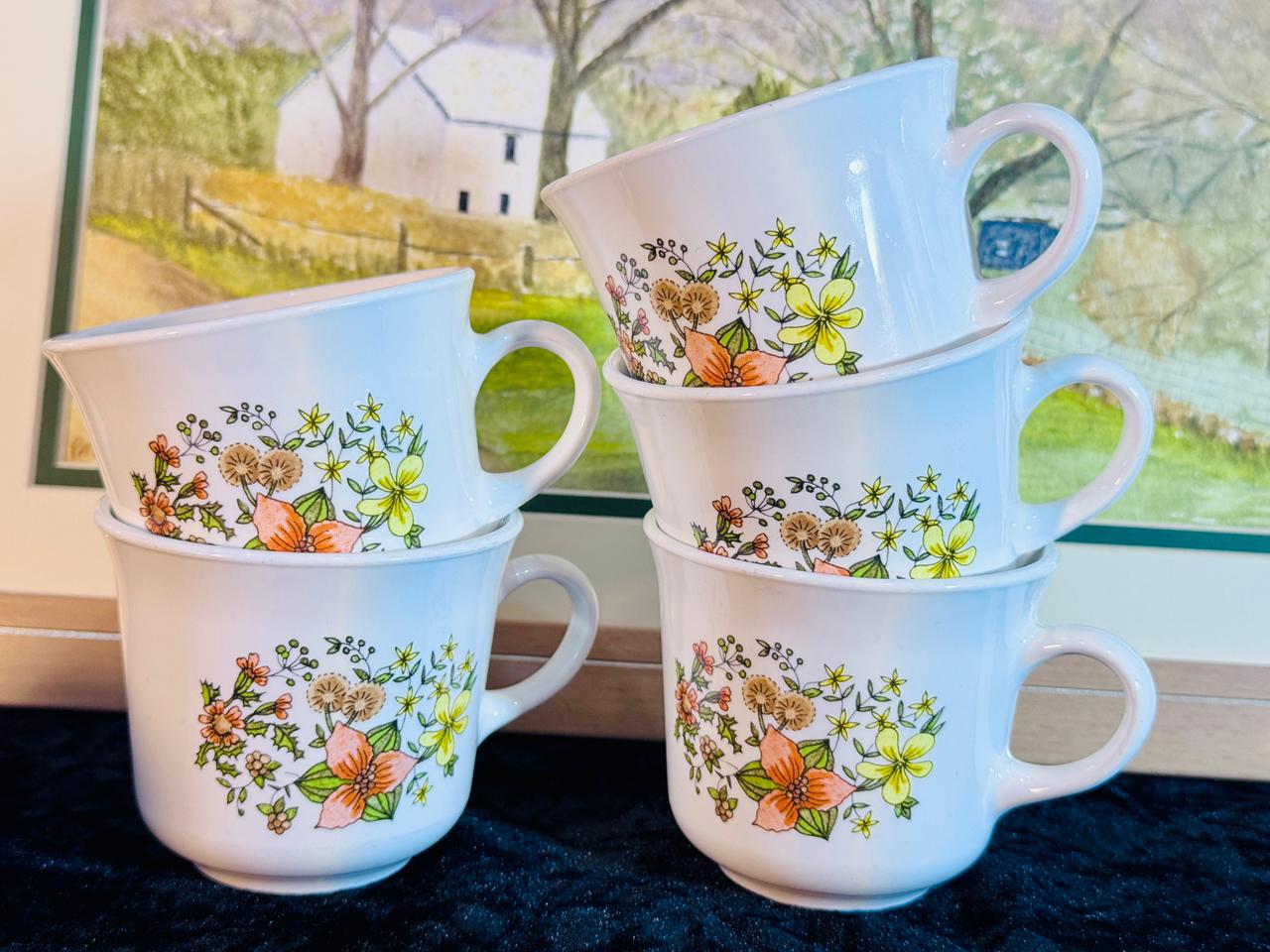 Vintage Teacup Set - 6 Pieces with Hand-Painted Wildflower Design | Fine Porcelain