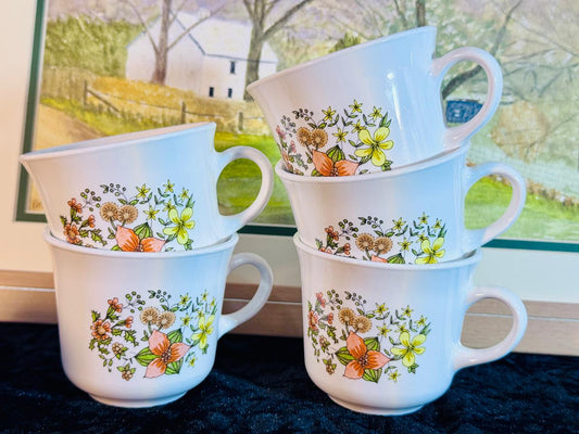 Vintage Teacup Set - 6 Pieces with Hand-Painted Wildflower Design | Fine Porcelain